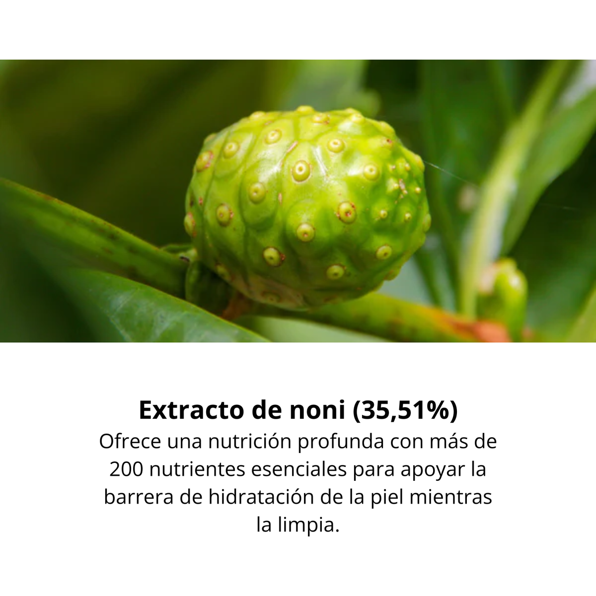 Gel limpiador facial CELIMAX THE REAL NONI ACNE BUBBLE CLEANSER para cuidado de la piel con burbujas, 155 ml.