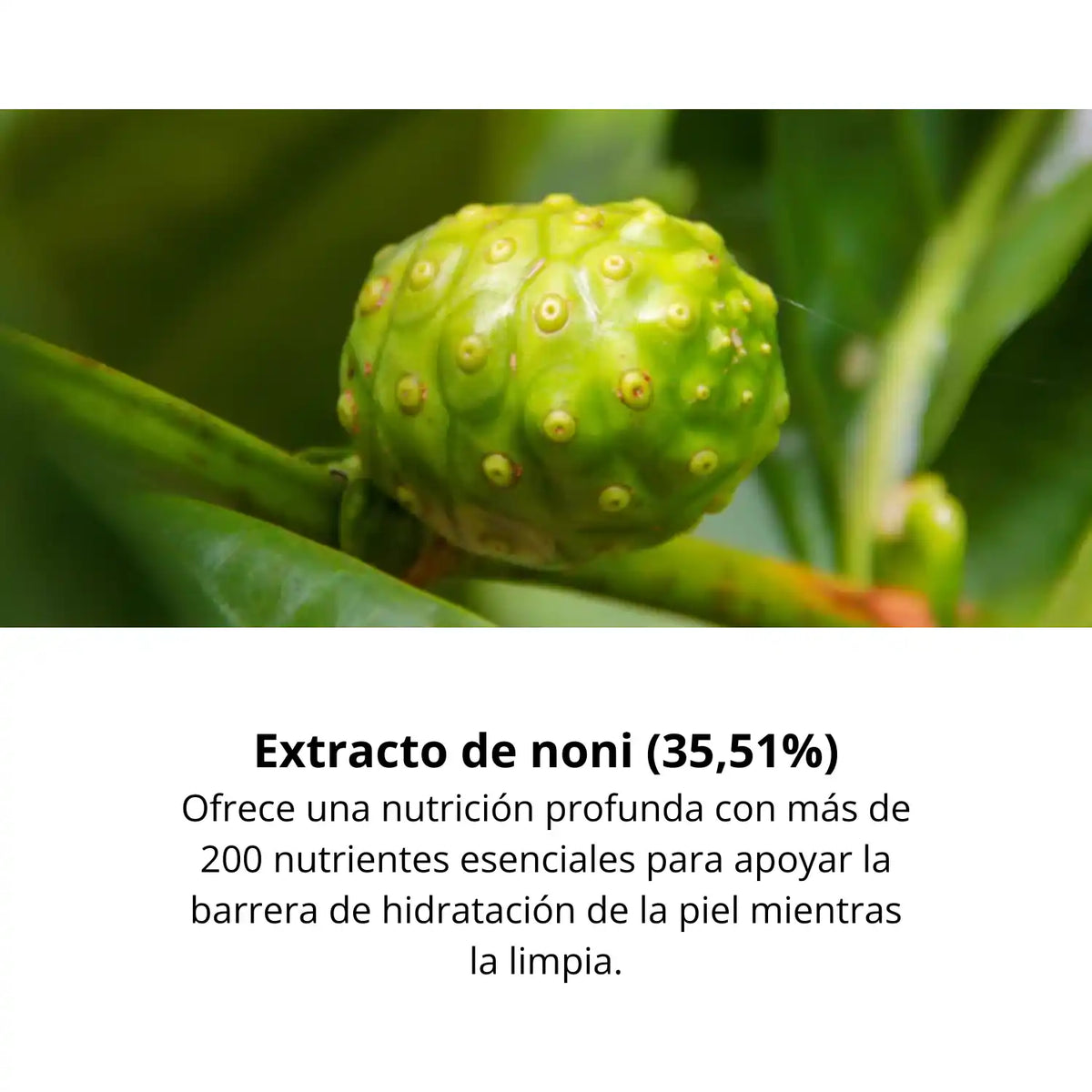 Gel limpiador facial CELIMAX THE REAL NONI ACNE BUBBLE CLEANSER para cuidado de la piel con burbujas, 155 ml.