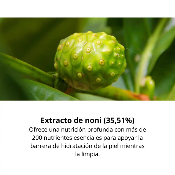Gel limpiador facial CELIMAX THE REAL NONI ACNE BUBBLE CLEANSER para cuidado de la piel con burbujas, 155 ml.